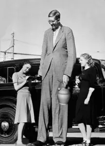 tallest person in the world