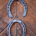horseshoe
