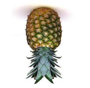 upside down pineapple